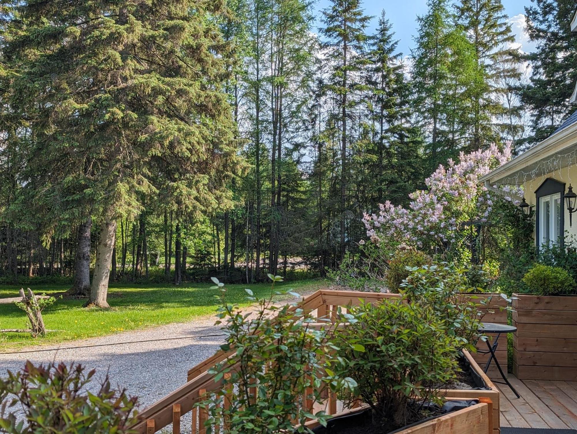 La Tremblante Bed & Breakfast Монт-Тремблант Екстериор снимка