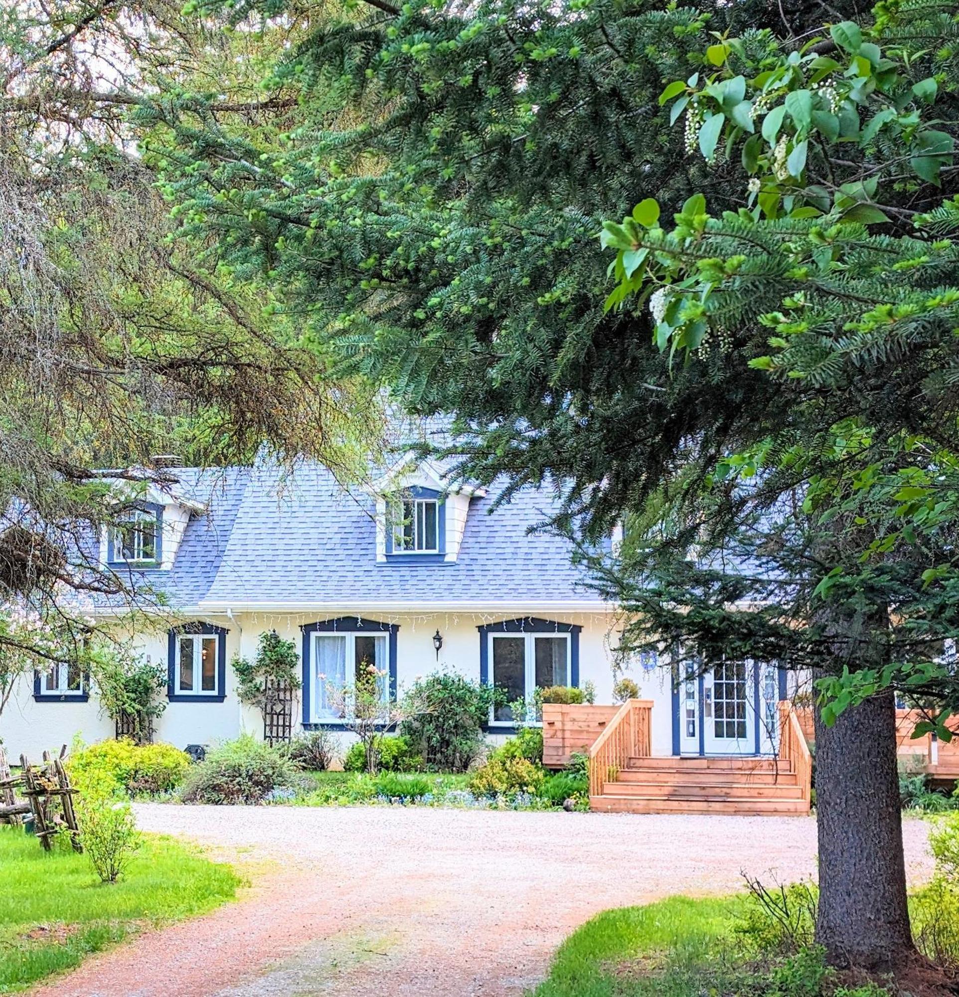 La Tremblante Bed & Breakfast Монт-Тремблант Екстериор снимка