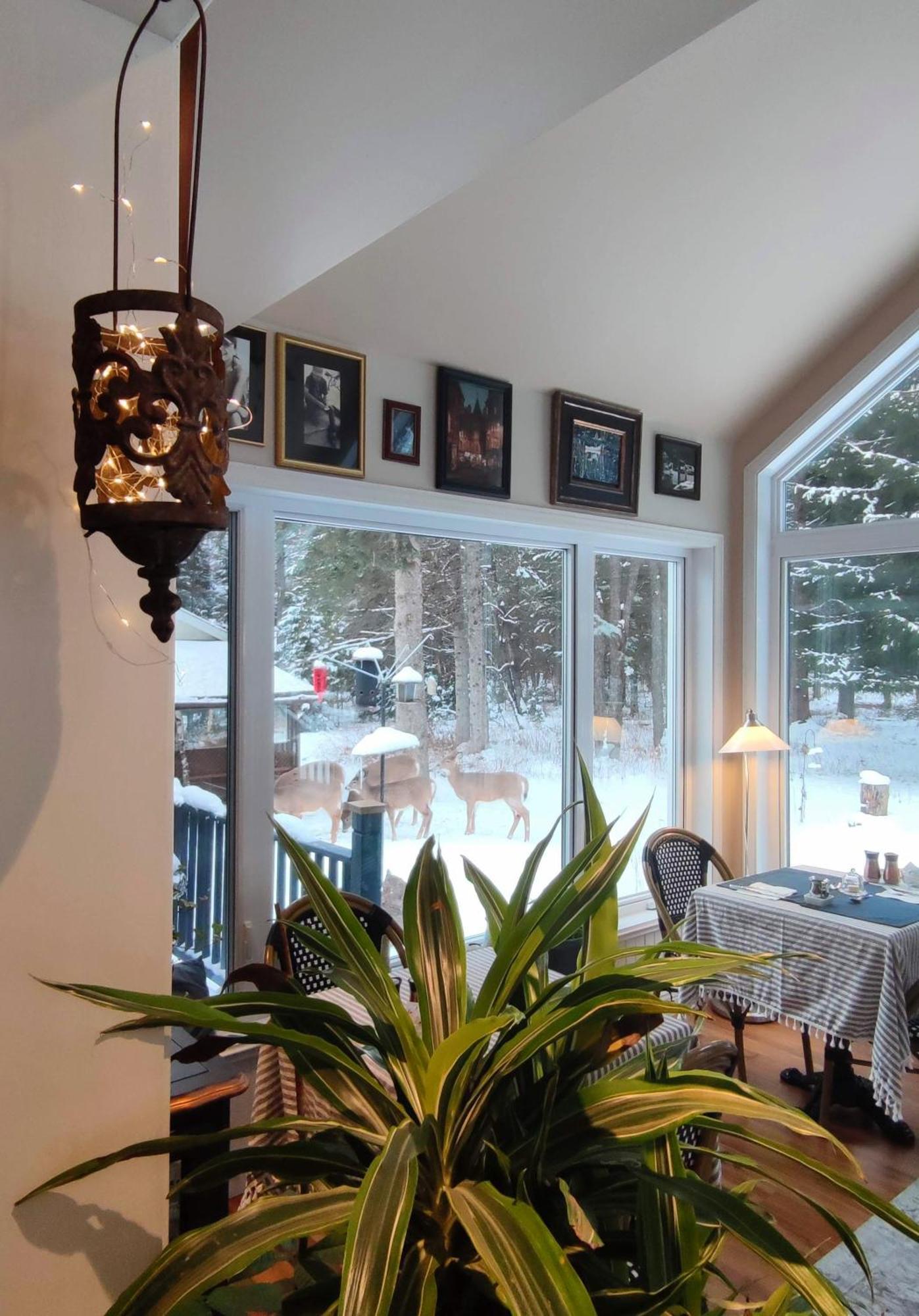 La Tremblante Bed & Breakfast Монт-Тремблант Екстериор снимка