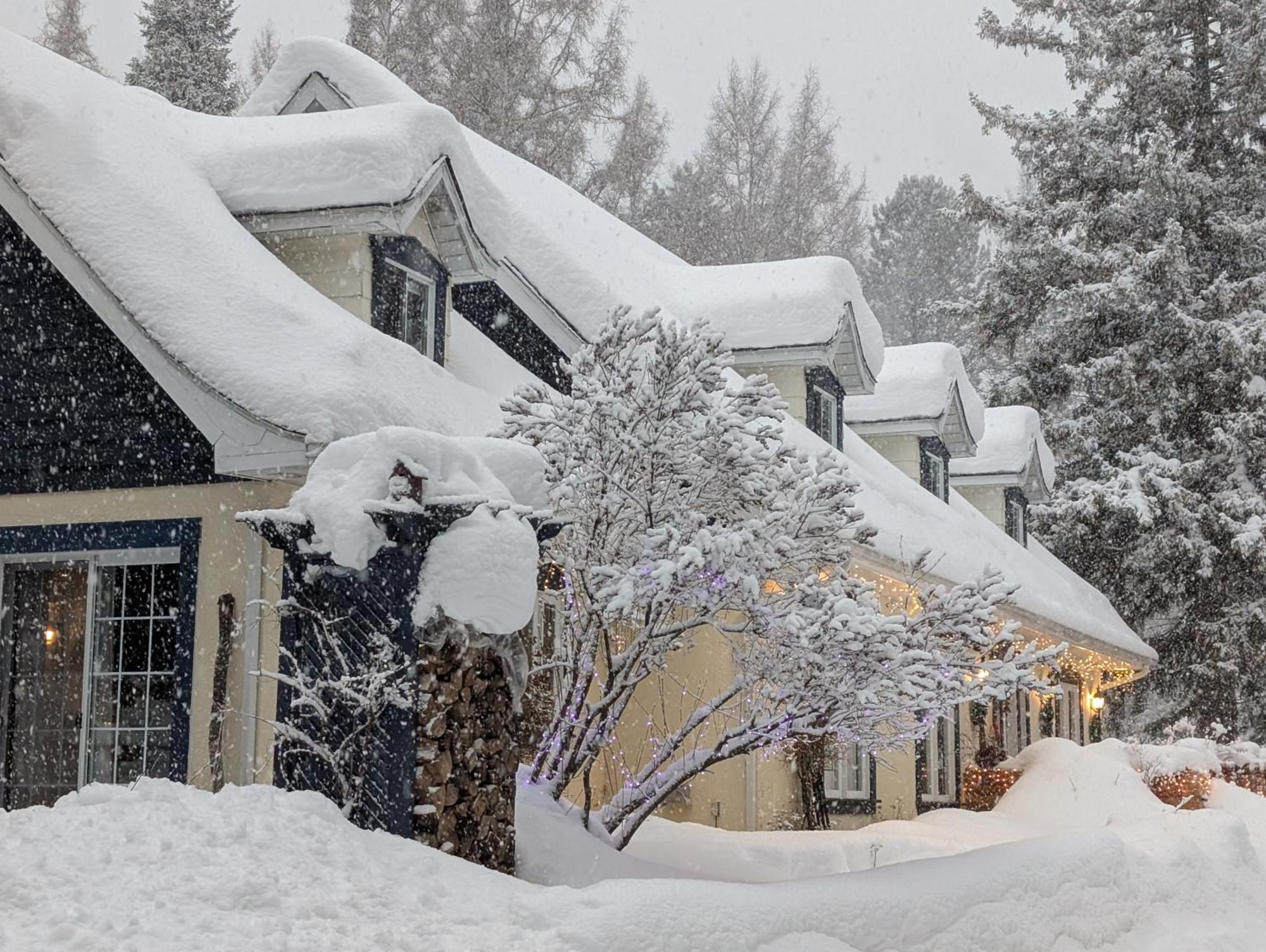 La Tremblante Bed & Breakfast Монт-Тремблант Екстериор снимка